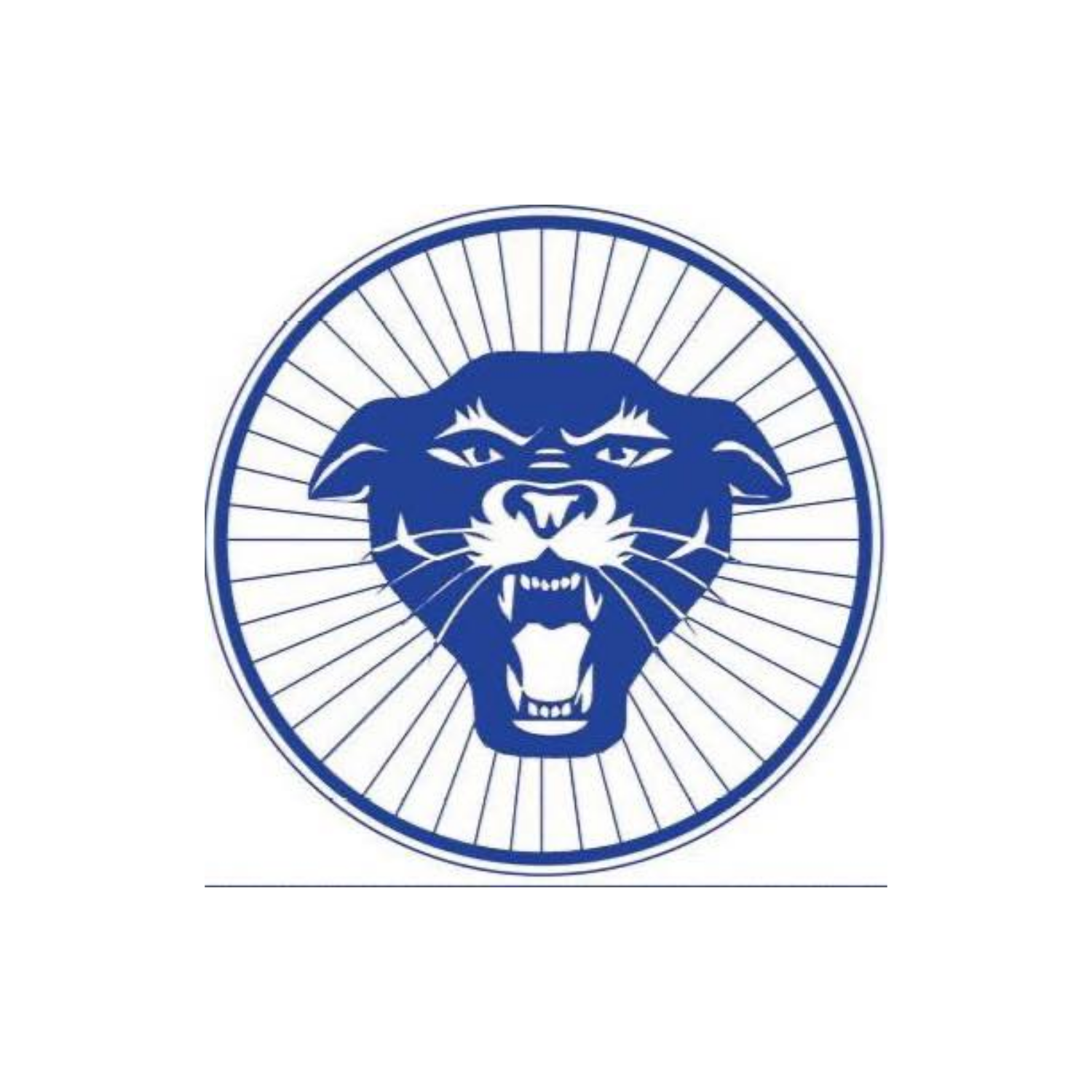 Kingston Panthers